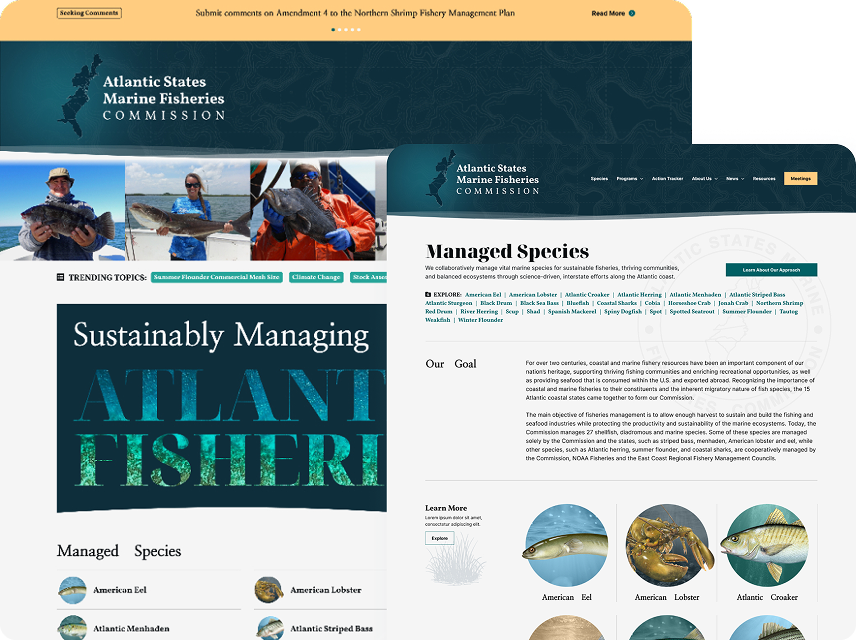Screen shots from asmfc's website